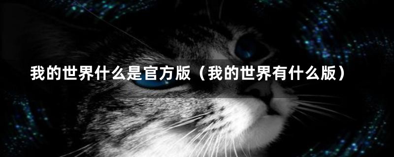 我的世界什么是官方版(我的世界有什么版)
