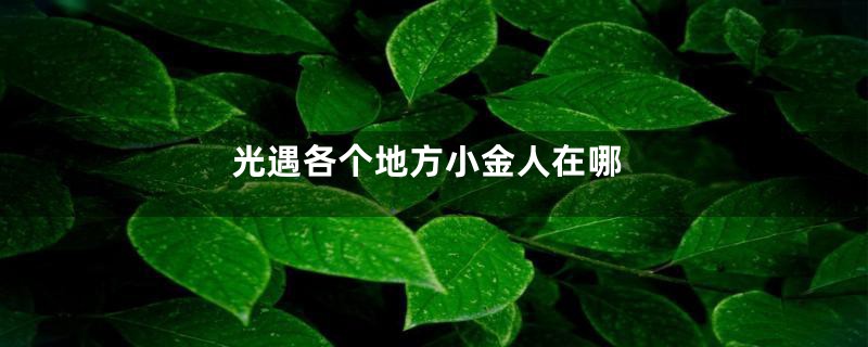 光遇各个地方小金人在哪