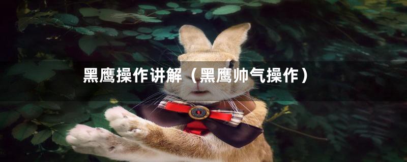 黑鹰操作讲解(黑鹰帅气操作)