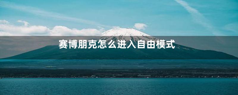 赛博朋克怎么进入自由模式