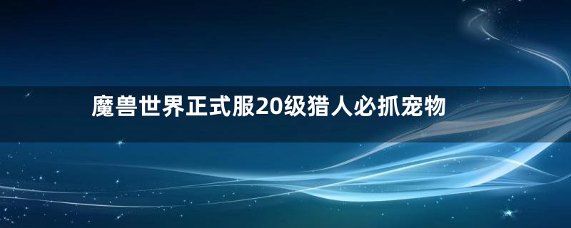 魔兽世界正式服20级猎人必抓宠物