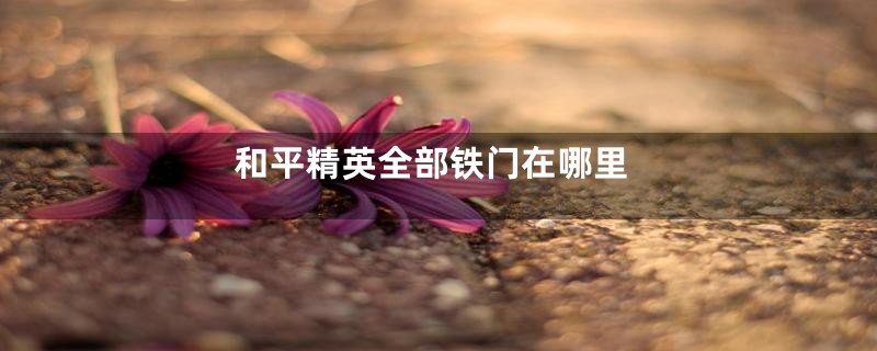 和平精英全部铁门在哪里
