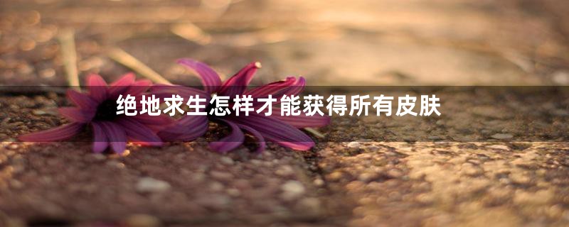 绝地求生怎样才能获得所有皮肤