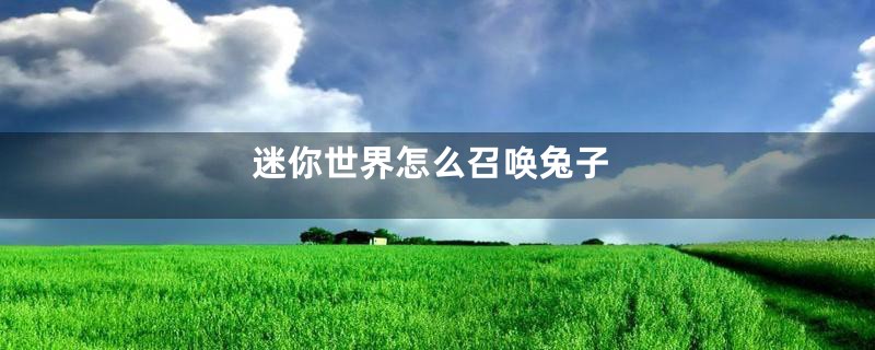 迷你世界怎么召唤兔子