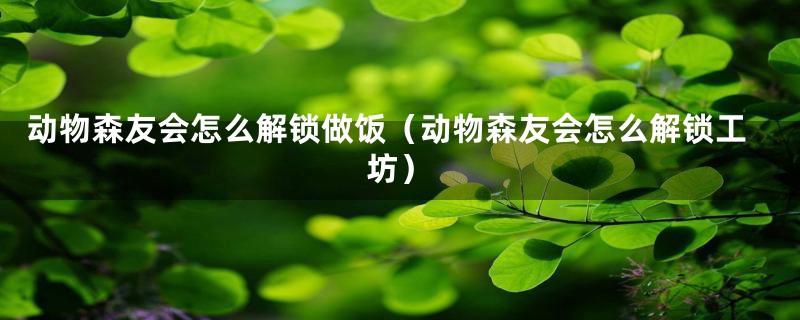 动物森友会怎么解锁做饭(动物森友会怎么解锁工坊)