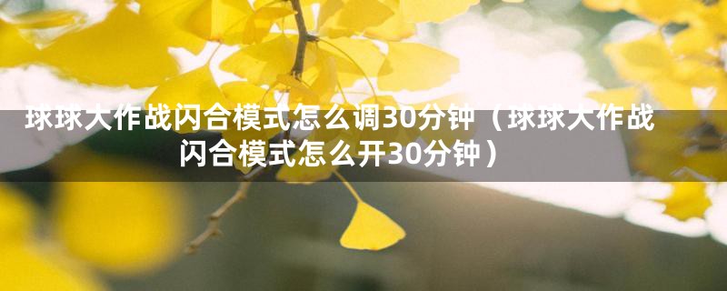 球球大作战闪合模式怎么调30分钟（球球大作战闪合模式怎么开30分钟）