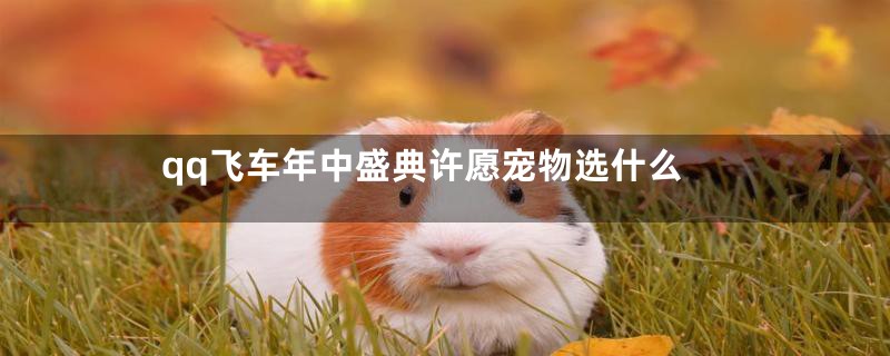 qq飞车年中盛典许愿宠物选什么