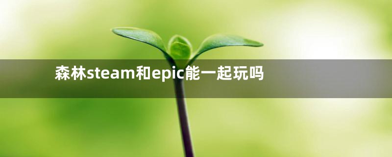 森林steam和epic能一起玩吗
