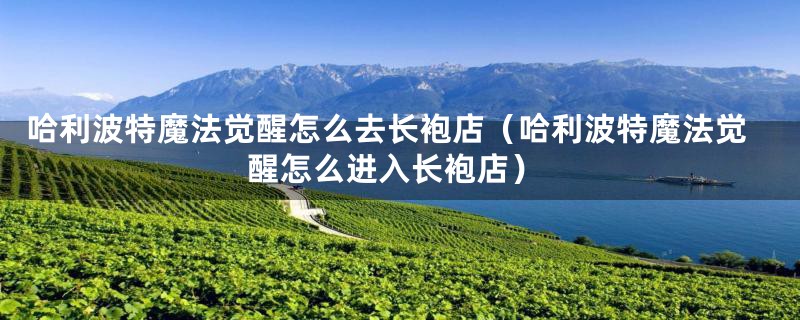 哈利波特魔法觉醒怎么去长袍店（哈利波特魔法觉醒怎么进入长袍店）