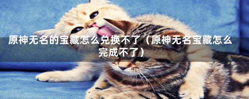 原神无名的宝藏怎么兑换不了（原神无名宝藏怎么完成不了）