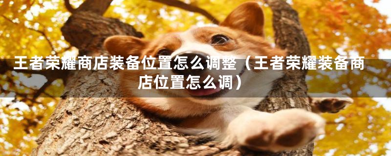 王者荣耀商店装备位置怎么调整（王者荣耀装备商店位置怎么调）