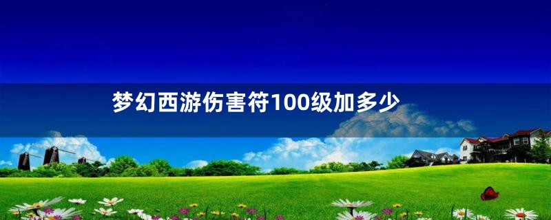 梦幻西游伤害符100级加多少