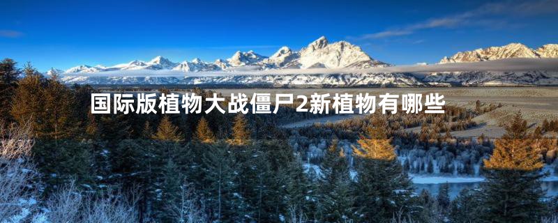 国际版植物大战僵尸2新植物有哪些