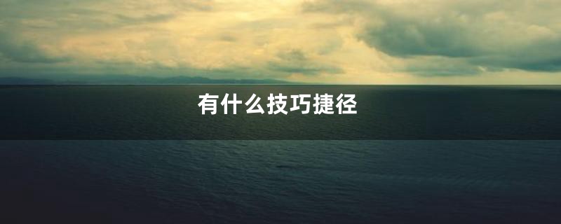 有什么技巧捷径