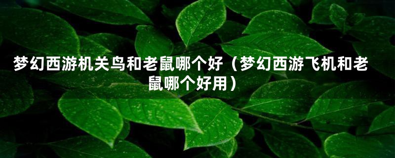 梦幻西游机关鸟和老鼠哪个好（梦幻西游飞机和老鼠哪个好用）