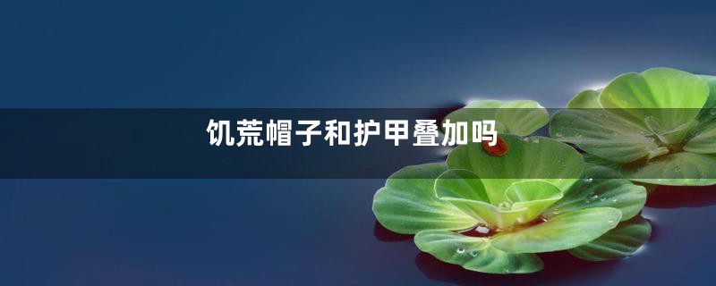 饥荒帽子和护甲叠加吗