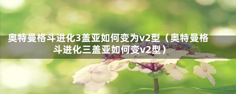 奥特曼格斗进化3盖亚如何变为v2型（奥特曼格斗进化三盖亚如何变v2型）