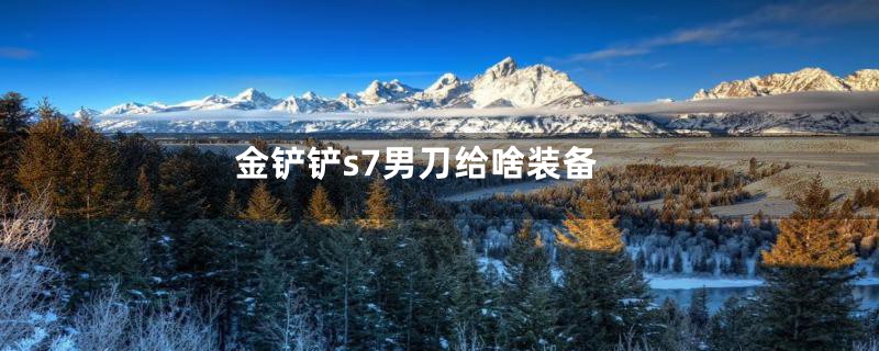 金铲铲s7男刀给啥装备