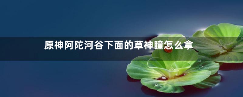 原神阿陀河谷下面的草神瞳怎么拿