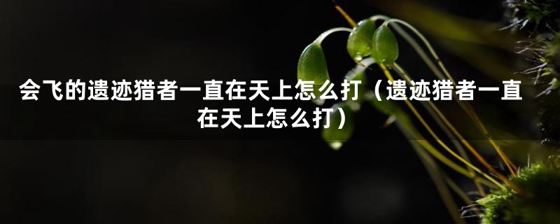 会飞的遗迹猎者一直在天上怎么打(遗迹猎者一直在天上怎么打)