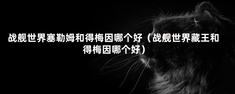 战舰世界塞勒姆和得梅因哪个好（战舰世界藏王和得梅因哪个好）
