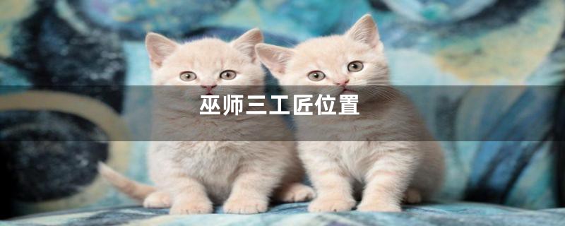 巫师三工匠位置