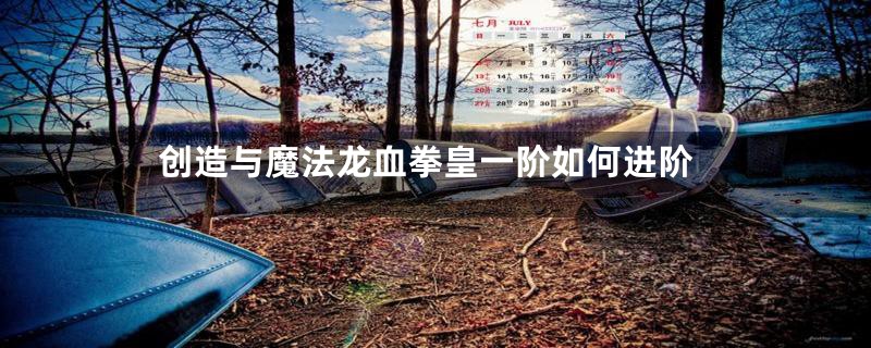 创造与魔法龙血拳皇一阶如何进阶