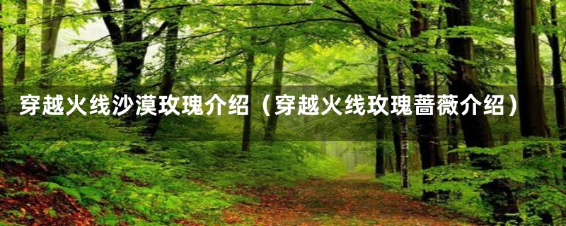 穿越火线沙漠玫瑰介绍（穿越火线玫瑰蔷薇介绍）