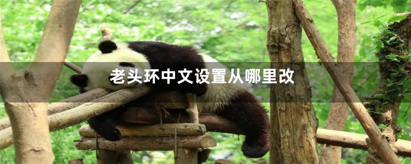 老头环中文设置从哪里改