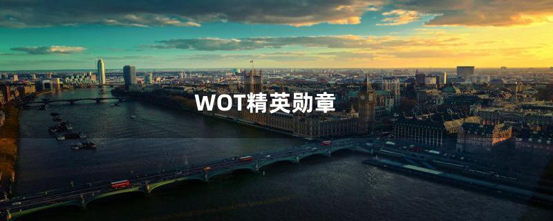 WOT精英勋章