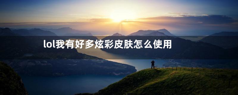 lol我有好多炫彩皮肤怎么使用