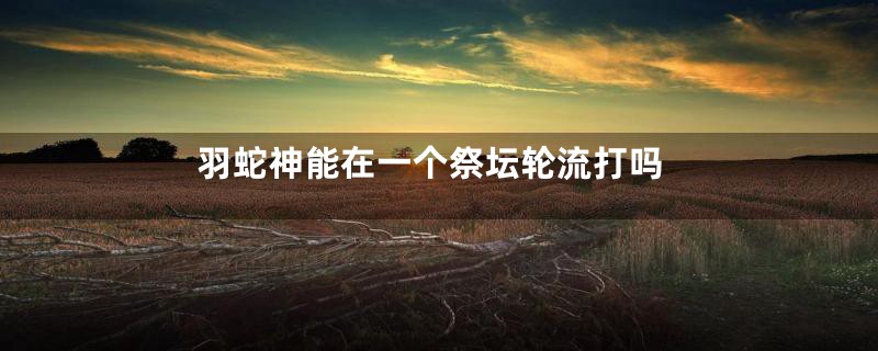 羽蛇神能在一个祭坛轮流打吗