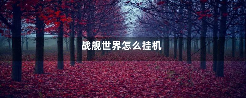 战舰世界怎么挂机
