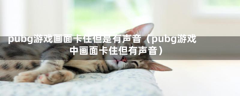 pubg游戏画面卡住但是有声音（pubg游戏中画面卡住但有声音）