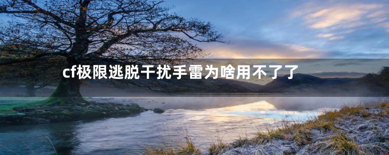 cf极限逃脱干扰手雷为啥用不了了