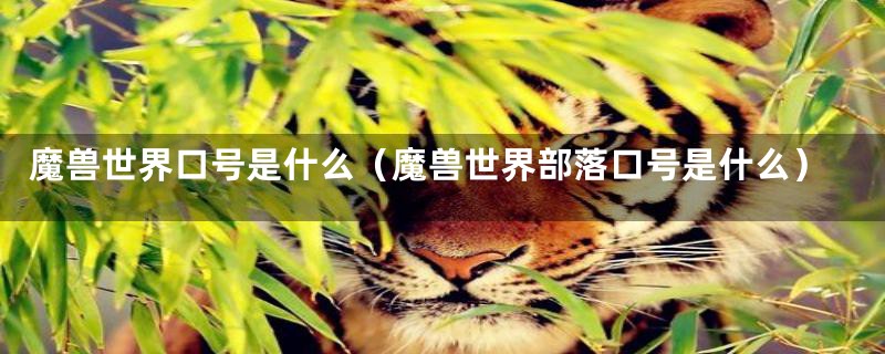 魔兽世界口号是什么（魔兽世界部落口号是什么）