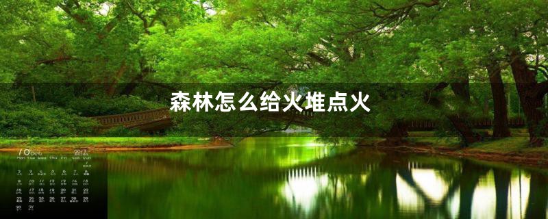 森林怎么给火堆点火