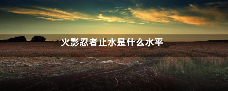 火影忍者止水是什么水平