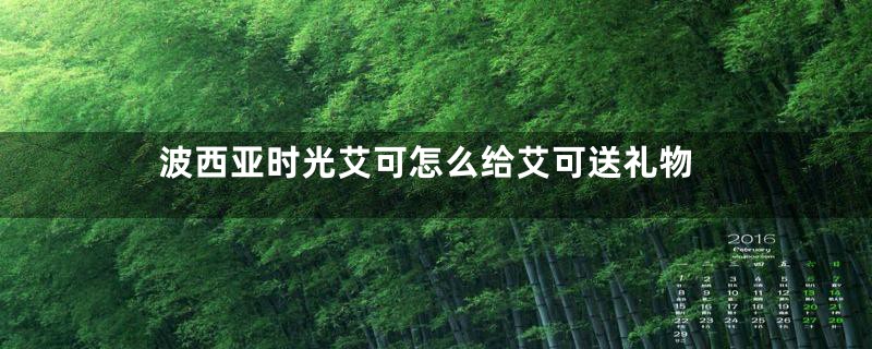 波西亚时光艾可怎么给艾可送礼物