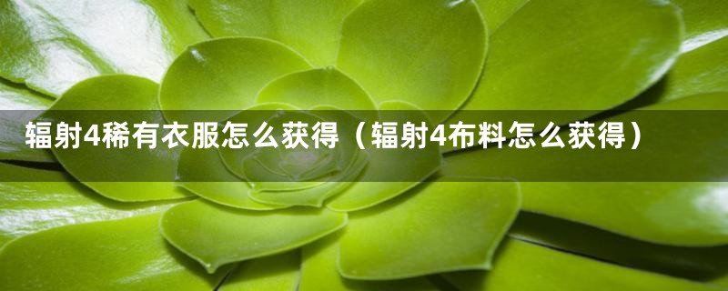 辐射4稀有衣服怎么获得(辐射4布料怎么获得)