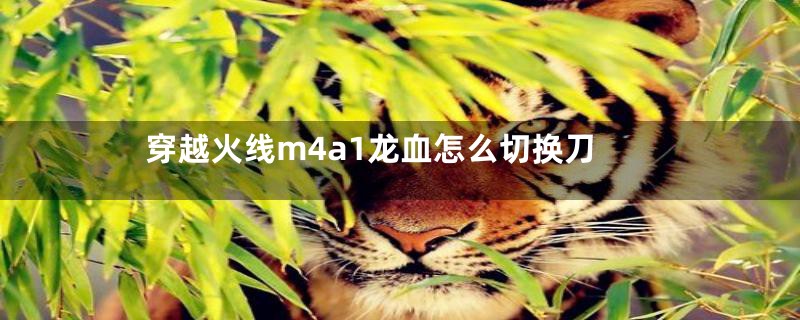 穿越火线m4a1龙血怎么切换刀