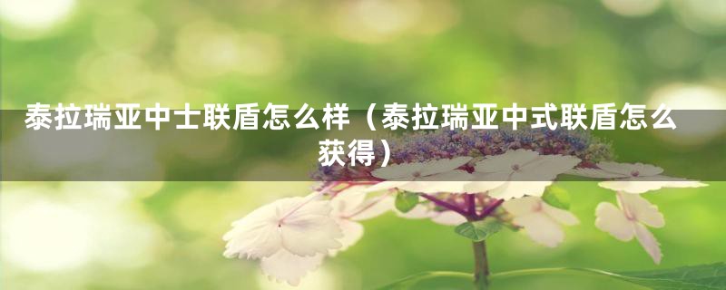 泰拉瑞亚中士联盾怎么样（泰拉瑞亚中式联盾怎么获得）