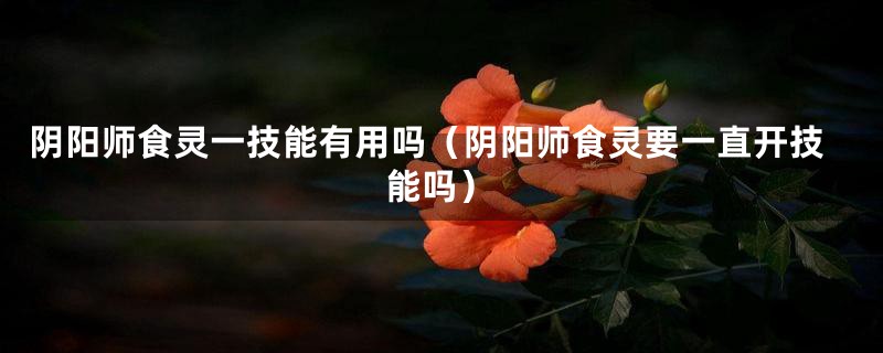 阴阳师食灵一技能有用吗（阴阳师食灵要一直开技能吗）