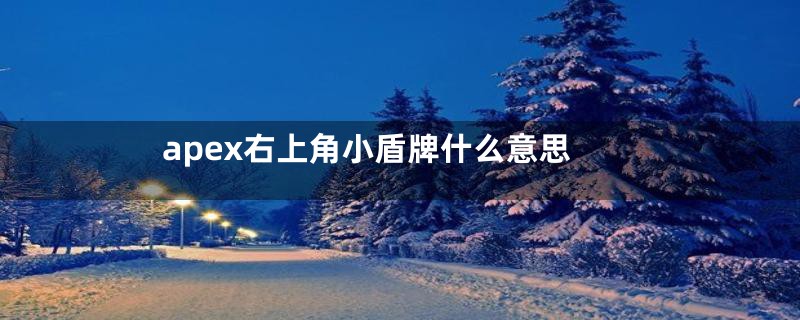 apex右上角小盾牌什么意思