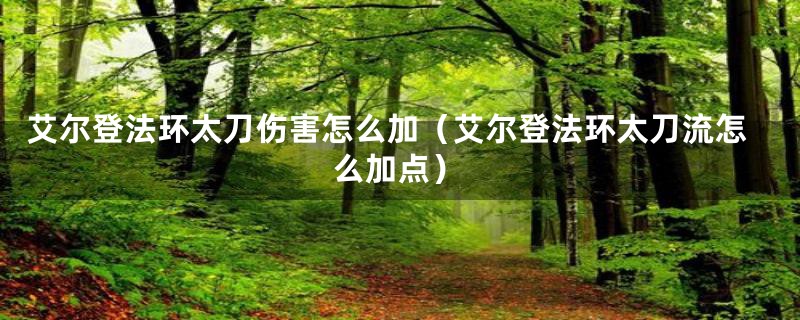 艾尔登法环太刀伤害怎么加（艾尔登法环太刀流怎么加点）