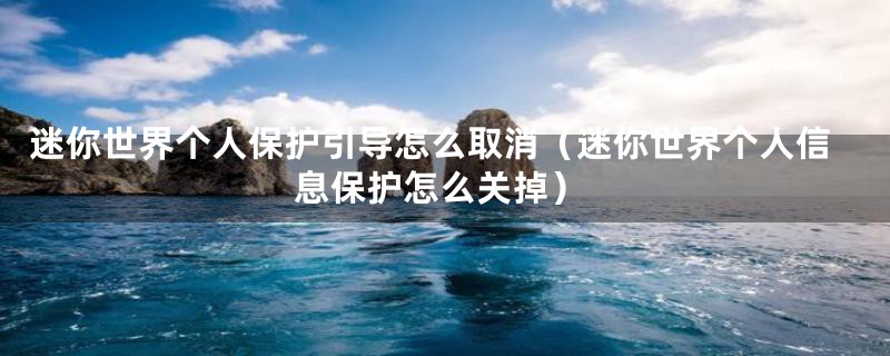 迷你世界个人保护引导怎么取消(迷你世界个人信息保护怎么关掉)