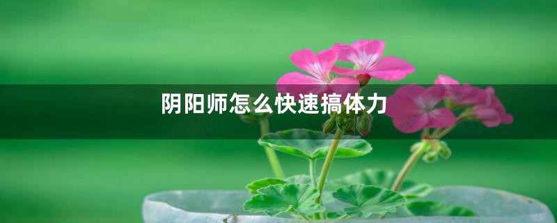 阴阳师怎么快速搞体力