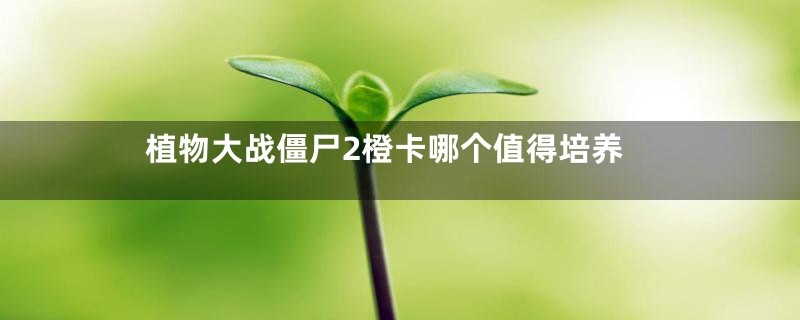 植物大战僵尸2橙卡哪个值得培养