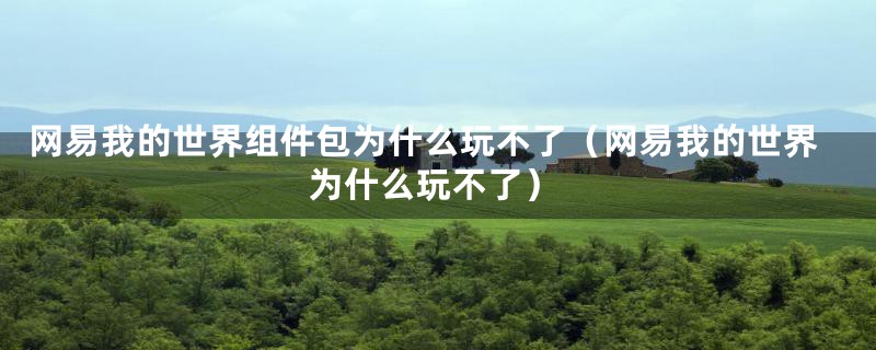 网易我的世界组件包为什么玩不了（网易我的世界为什么玩不了）