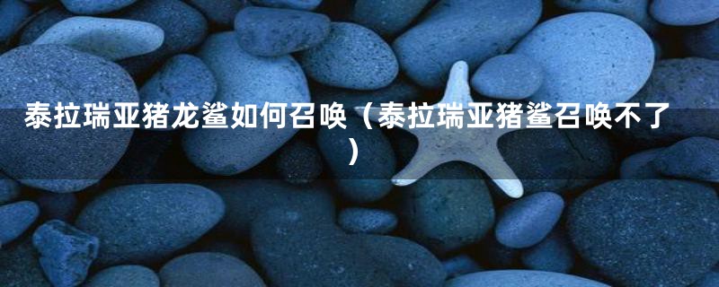 泰拉瑞亚猪龙鲨如何召唤（泰拉瑞亚猪鲨召唤不了）